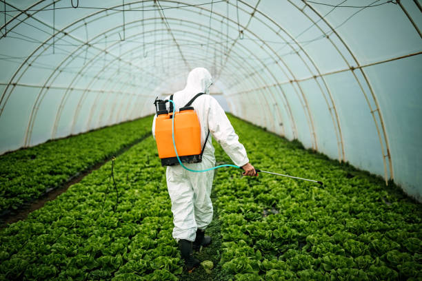 Best Pest Control for Businesses  in Honea Path, SC