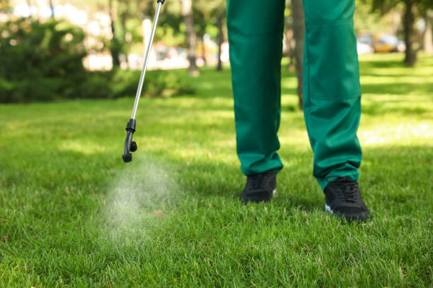 Insect Control in Honea Path, SC
