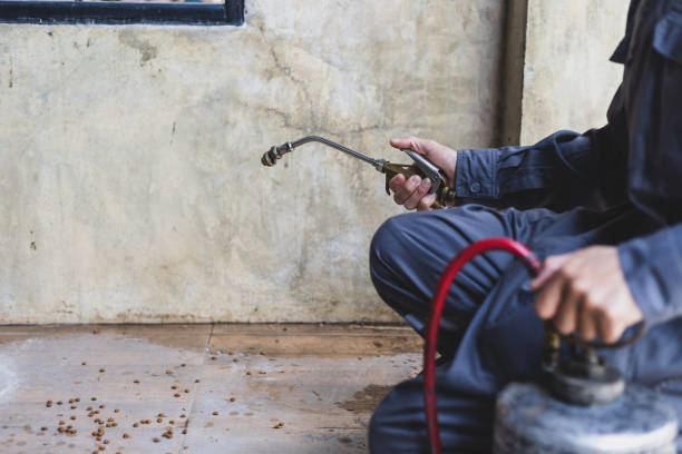 Best Pest Prevention Services  in Honea Path, SC
