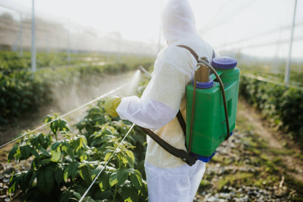 Pest Control Cost in Honea Path, SC